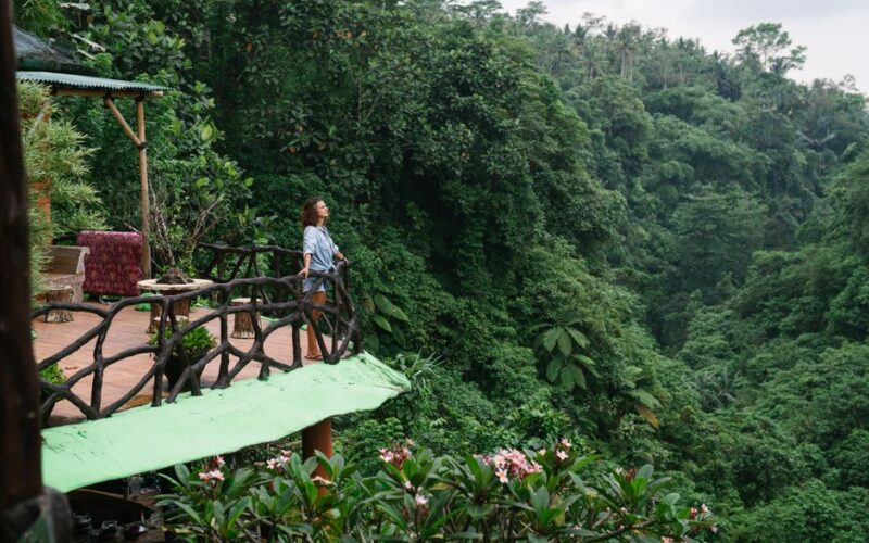 Turismo Sustentável: Análise das Viagens de Famosos