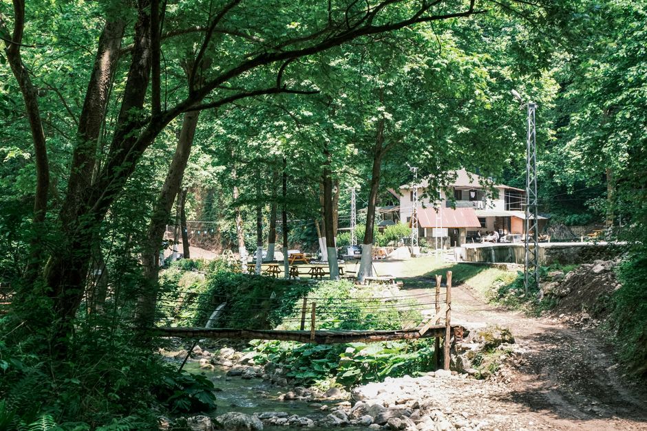 Turismo Sustentável — Peaceful forest retreat featuring a rustic bridge and lush greenery under summer sunlight.