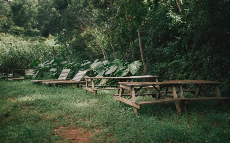 Turismo Sustentável na Cultura Pop e no Cinema
