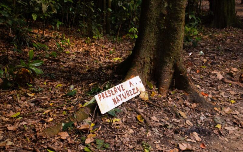 Turismo Sustentável: O Guia Eco para Viagens Culturais