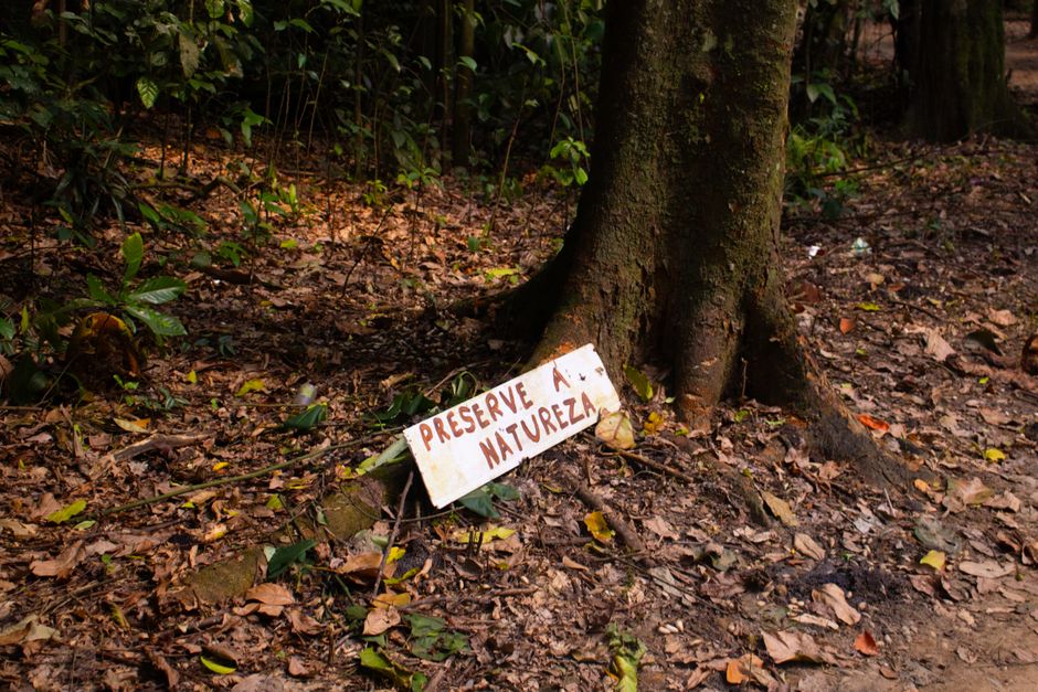 Turismo Sustentável: O Guia Eco para Viagens Culturais